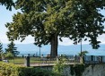 Programme Neuf Jardins sur le Lac Thonon-les-Bains